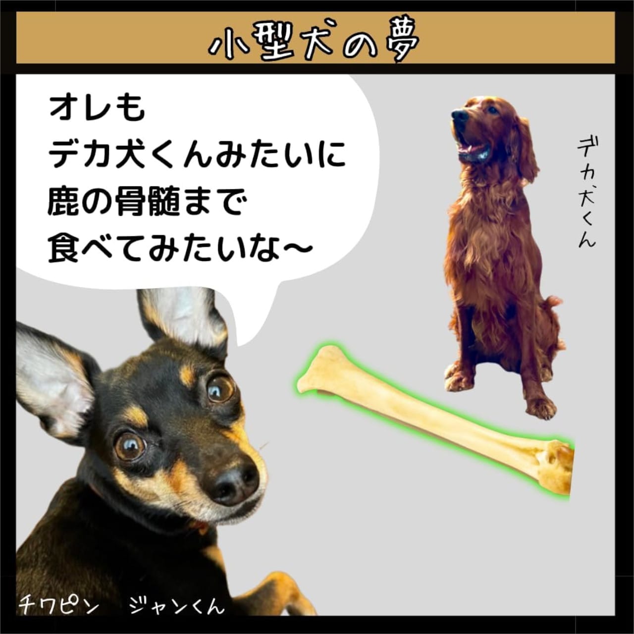 鹿骨髄まるごとふりかけ 2個セット　【04301-0511】_イメージ2