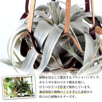i617 コルクレザーハンギング(植物セット)地球環境や動物に配慮した素材で作られたプラントハンガー！【kurk PLANT LEATHER】