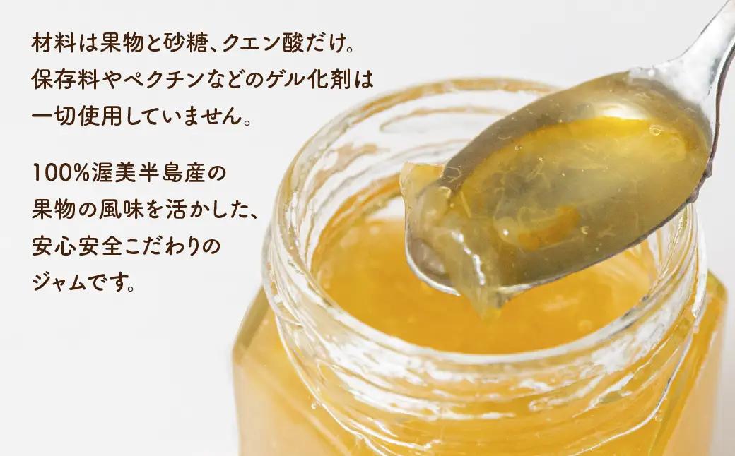 国産 手作りジャム3点セット Bセット いちじく ゆず ミカン イチジク  柚子 ユズ みかん 蜜柑 無添加 手造り てづくり 手作り ジャム フルーツ 果物