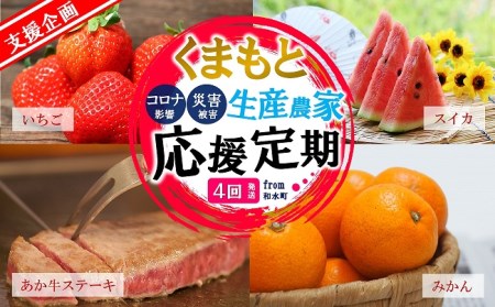 【定期便４回】支援企画！くまもと生産農家応援 定期便 ！ 肉 野菜 フルーツ