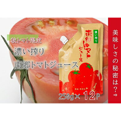 【ふるさと納税】濃い搾り　南郷トマトジュース　12パック 果汁飲料 野菜飲料 ストレート 無添加