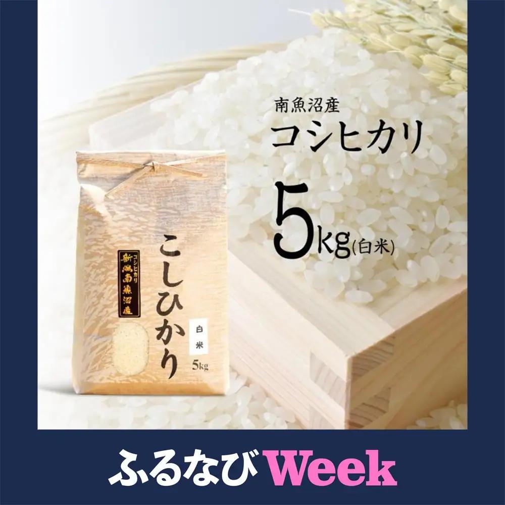 【ふるなびWEEK対象】【令和7年産】南魚沼産コシヒカリ（白米）【5kg】| コシヒカリ