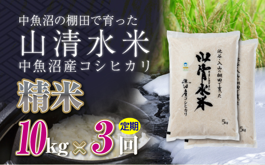 【定期便／全3回】精米10kg 新潟県魚沼産コシヒカリ「山清水米」 