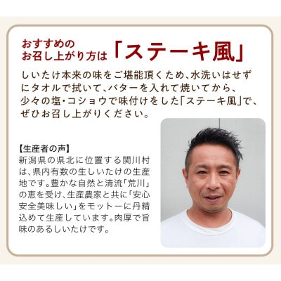 肉厚でプレミアムジャンボ!あらかわ生しいたけ＆生キクラゲセット【配送不可地域：離島】