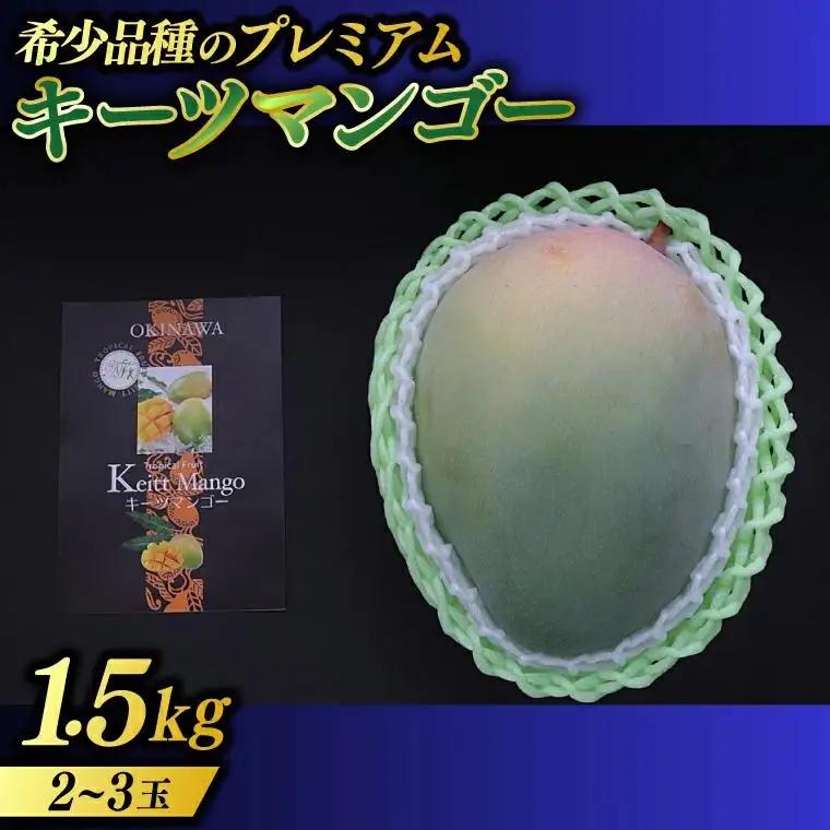 【2027年8月より順次発送】稀少プレミアム！！豊見城市産キーツマンゴー 約1.5kg(2～3玉) (BV001-1)