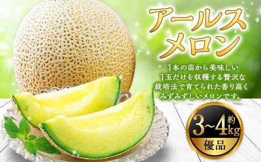 山形おきたま産 アールスメロン （優品） 2玉（約3kg～4kg） 山形県産 【2026年9月順次発送予定】