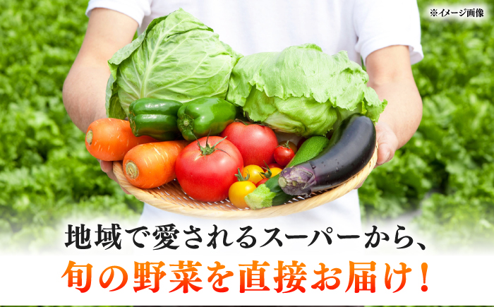 【12回定期便】＜配送時期が選べる＞採れたて野菜 お楽しみ便 （ 野菜 果物 きのこ 10品目以上 ） 野菜 フルーツ やさい 野菜セット 野菜定期便 旬 定期便 毎月 / 南島原市 / サンピア [