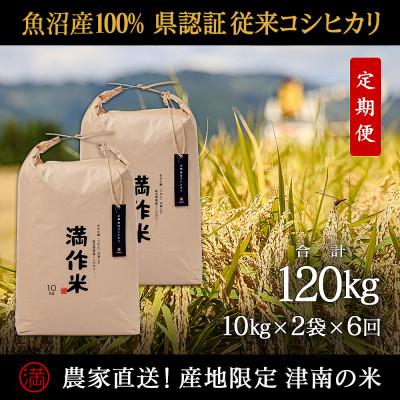 ふるさと納税 津南町 【毎月定期便】県認証特栽元祖魚沼産コシヒカリ20kg (10kg×2袋)×6回 合計120kg全6回