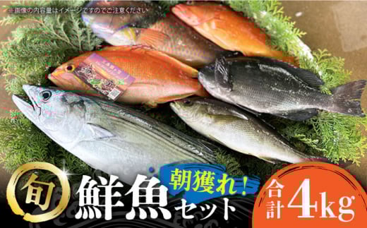 【五島列島直送】朝獲れ鮮魚セット4kg　鯛福丸水産/五島市[PDP011]  魚 鮮魚 セット 海鮮 直送 さかな 詰合せ 冷蔵