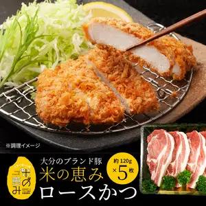 米の恵み　ロースかつ　約120g×5枚 A02011