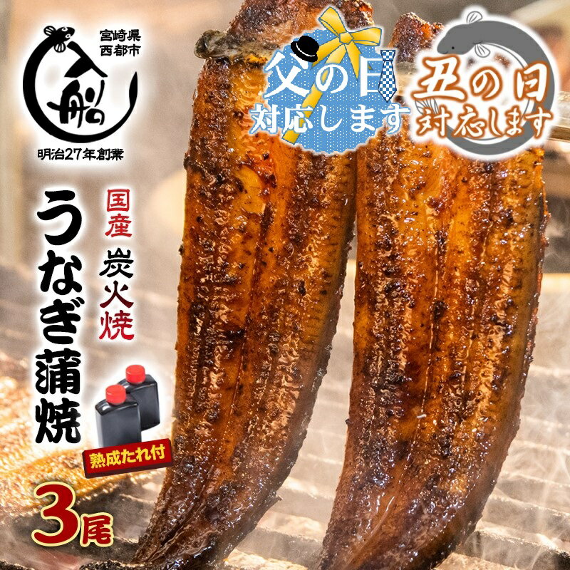 【ふるさと納税】「うなぎの入船」国産うなぎ炭火焼かば焼3尾セット 備長炭手焼き（熟成たれ付）300g 炭火焼一筋130年 かば焼3尾国産 うなぎ 鰻 お惣菜 小分け 真空パック 送料無料 さいとし サイト＜13-3a＞☆