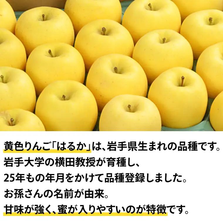 【先行予約】りんご 純情はるか 自家用 (AI024)りんご