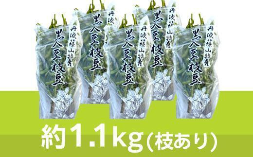 
                  【2026年10月中旬発送】令和8年産 丹波黒枝豆1.1kg×5(枝あり) 兵庫県 丹波篠山市 プレミアム枝豆 期間限定 黒枝豆 えだまめ エダマメ お取り寄せグルメ 高級 特産品 名産品 おつまみ おうち居酒屋
                