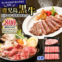 【ふるさと納税】（H-701） 鹿児島黒牛 ステーキ ・ すきやき セット 計 800g 送料無料 鹿児島市 九州 お取り寄せ 特産品 地域の品 お礼の品 国産 肉 牛 黒毛和牛 ブランド牛 黒牛 サーロイン ウデ スライス 薄切り しゃぶしゃぶ 霜降り