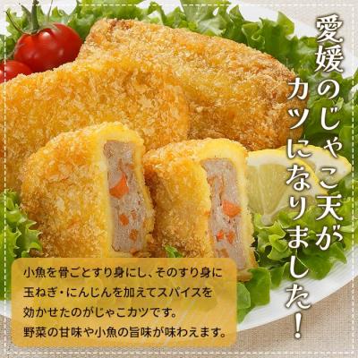 ふるさと納税 西予市 <おがた蒲鉾　じゃこカツ小判(未加熱)5個入り>　じゃこ天　ソウルフード　特産品　郷土料理　おかず |  | 01