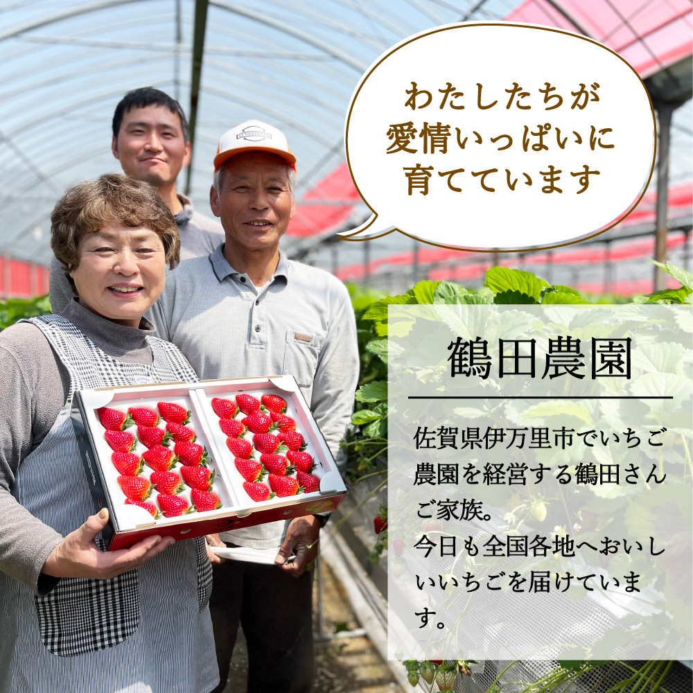 【先行予約】伊万里産 特選「いちごさん」 450g 以上× 2パック ～鶴田農園～ 046-B833_イメージ4
