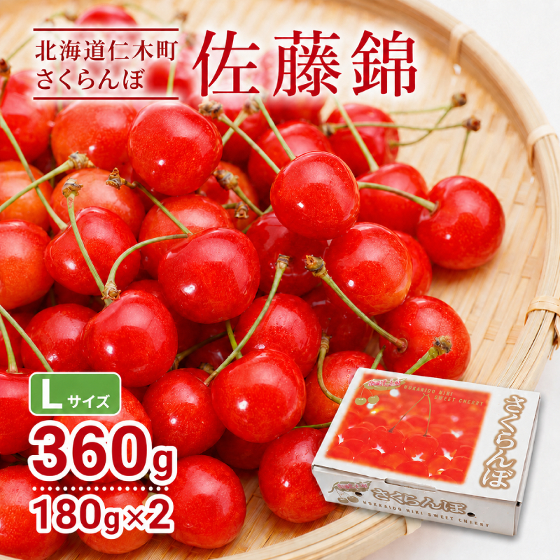 2027年発送 北海道 仁木町産 さくらんぼ 佐藤錦 180g×2P Lサイズ   サクランボ チェリー フルーツ 果物 果物類 仁木町 仁木 [林果樹園]