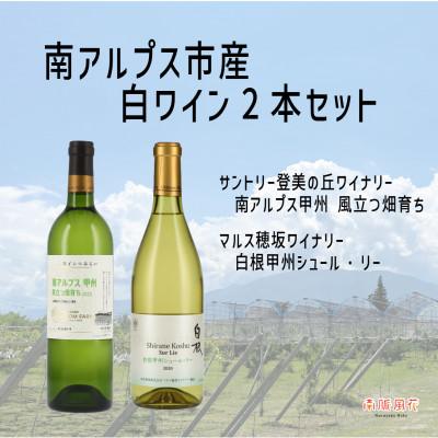 ふるさと納税 南アルプス市 南アルプス市産 甲州ワイン2本セット