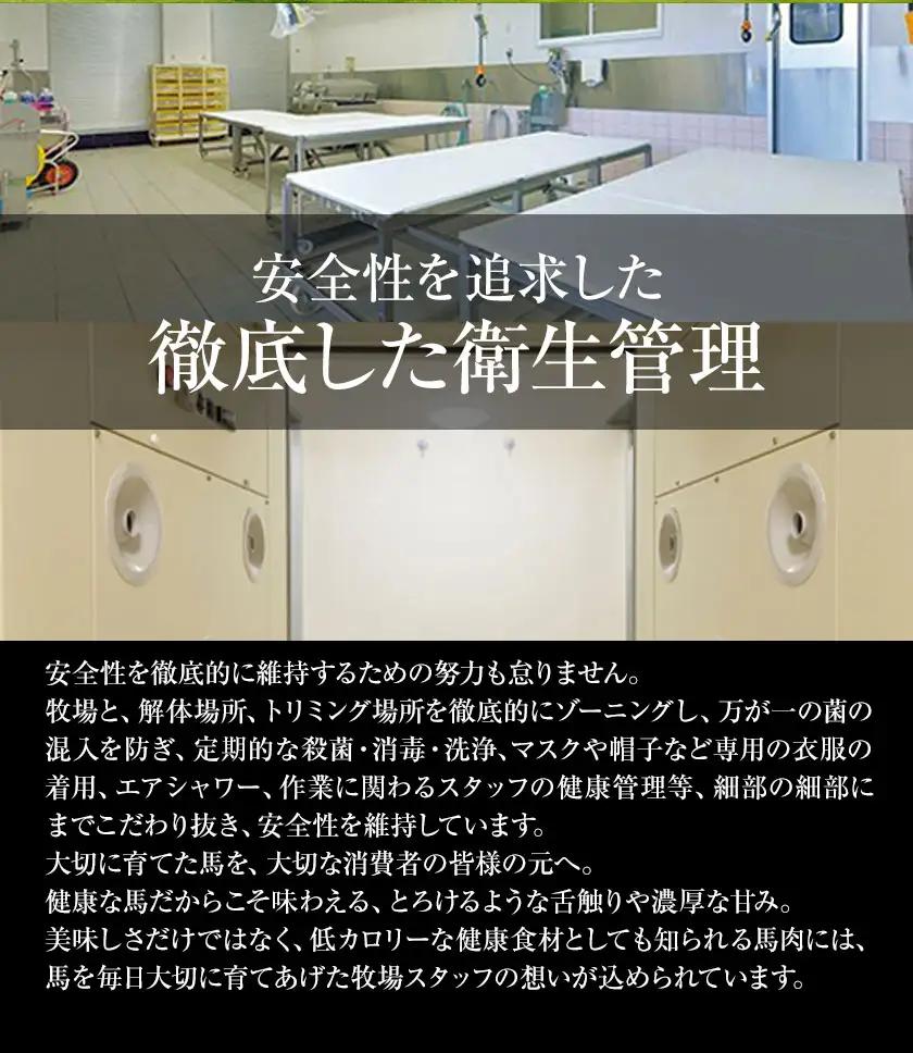 【6ヶ月定期便】赤身馬刺し 500g【純国産熊本肥育】生食用 冷凍 専用馬刺しタレ付き《お申込み翌月から出荷》熊本県 南関町 馬刺し 赤身