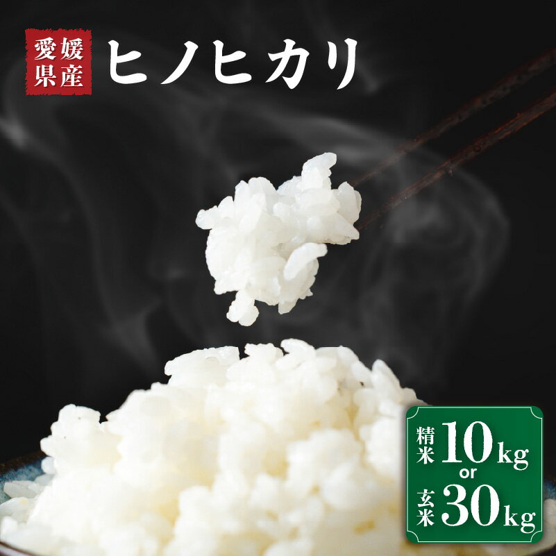 【ふるさと納税】 【精米or玄米】米 ヒノヒカリ 精米 10kg / 玄米 30kg 未検査米 【先行予約 2026年10月下旬から順次発送米】 | 国内産 ひのひかり ヒノヒカリ 未検査米 白米 こめ お米 愛媛 えひめ おこめ 愛媛県産米 美味しいお米 贈答 贈り物 愛媛県 松前町 おすすめ