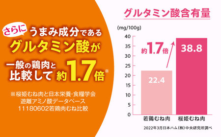 【全2回定期便】桜姫 鶏むね 計6kg（2kg×3パック）【東日本フード株式会社】 国産 鶏 とり肉 ムネ むね肉 鶏むね 冷凍 北海道 [AXBM016]