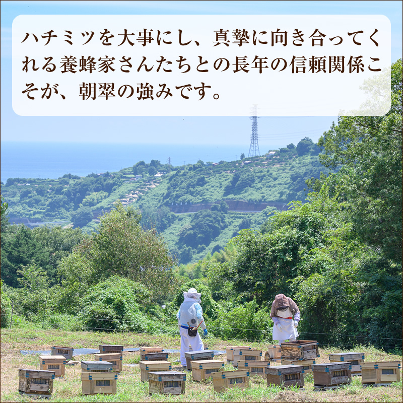 フルーツ漬け蜂蜜2本セット（梅みつ＆生姜みつ）【 はちみつ 神奈川県 小田原市 】