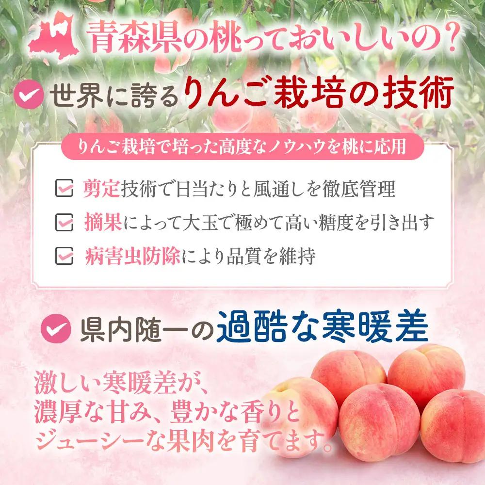青森県産桃 約5kg 桃 もも