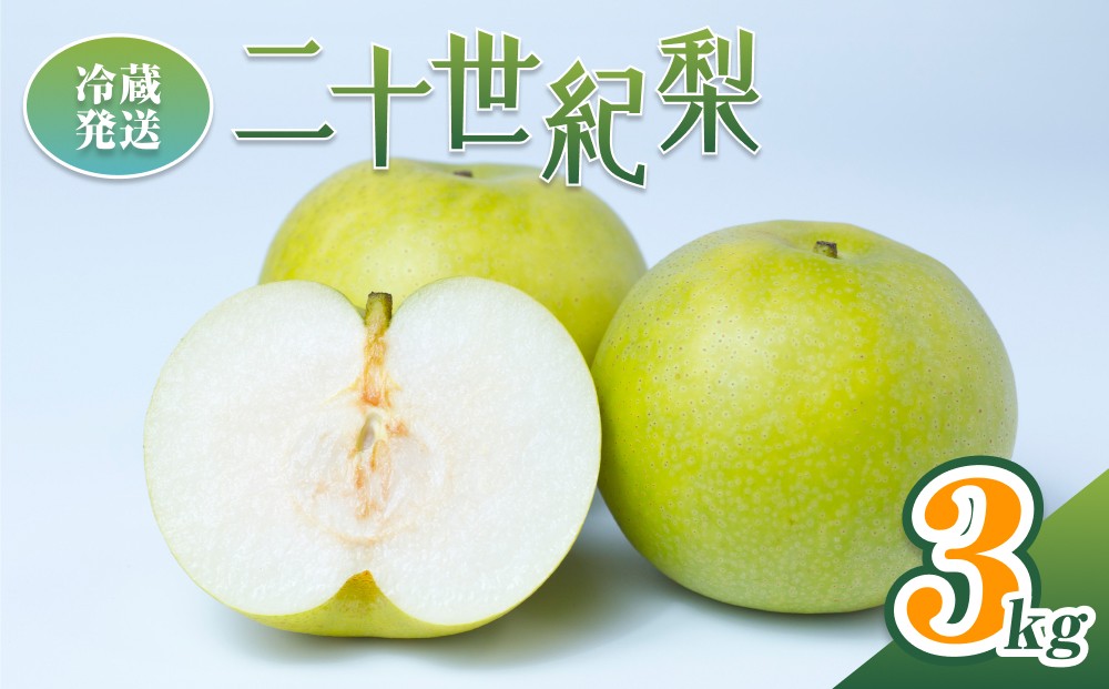 
                  【2026年 先行予約】二十世紀梨 3kg※冷蔵発送｜鳥取 井上農園 梨 なし ナシ 青梨 果物 フルーツ 3L【41070】
                