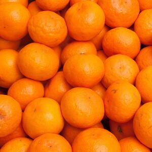 プレミアム 有田みかん（完熟）5kg+250g（傷み補償分）