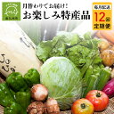 【ふるさと納税】 定期便 12回 旬 さつまいも 伝統菓子 牛肉 黒毛和牛 餃子 新茶 さつまあげ 芋 アイス みかん 新米 野菜 黒豚 しゃぶしゃぶ 食品 鹿児島県 南九州市 お取り寄せ お取り寄せグルメ 送料無料