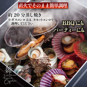 伊勢志摩の宝石箱（冷凍） / 伊勢志摩 伊勢 志摩 三重 新鮮 檜扇貝 ｻｻﾞｴ 牡蠣 ﾋｵｳｷﾞ貝 ｶｷ 贈答 贈答品 海鮮 貝 ｾｯﾄ 魚貝類 旨味 鮮魚 名産 海女小屋 ｷﾞﾌﾄ ｲｾ ｼﾏ 簡