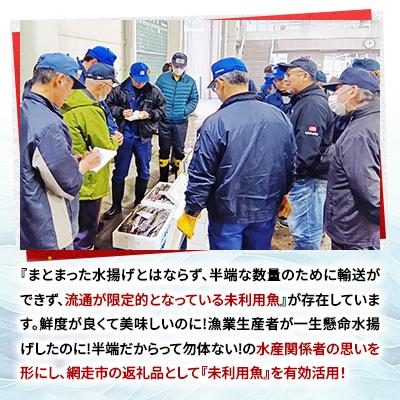 ふるさと納税 網走市 【訳あり】網走産冷凍鮮魚BOX〜未利用魚の有効活用(漁業生産者応援企画)〜 |  | 02
