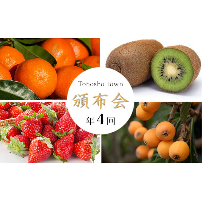 【ふるさと納税】【 小豆島 】【4回お届け】土庄町 季節の果物 みかん 柑橘類 果物類 いちご 苺 イチゴ 詰合せ セット フルーツ 　お届け：2020年12月～