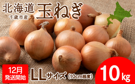 玉ねぎ 10kg LLサイズ 北海道 千歳市産 甘い たまねぎ 野菜 冷蔵 タマネギ 【假屋フードブリッジ】