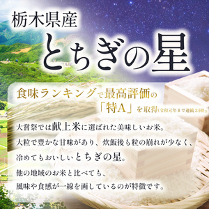 【6回定期便】栃木県産 とちぎの星 20kg | 栃木県 下野市