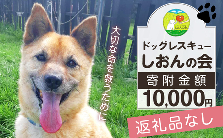 【野犬の保護活動】浜中町「ドッグレスキューしおんの会」を支援　10000円分  NPO法人 動物 犬 返礼品なし_H0039-006