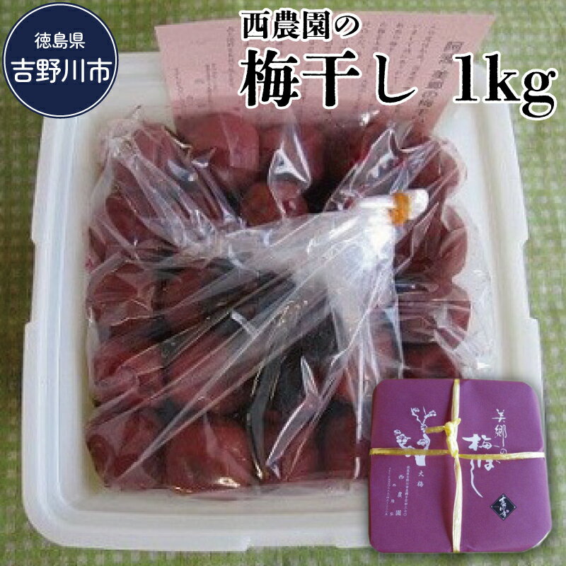 【ふるさと納税】 梅干し 南高梅 大粒 1kg 梅 うめ 果物 フルーツ しそ 塩 おつまみ おかず 弁当 惣菜 朝食 漬物 ビール ハイボール 焼酎 果実酒 ギフト プレゼント 贈答 送料無料 徳島県 吉野川市 西農園