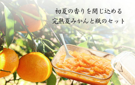 マーマレード用 夏みかんセット　【 柑橘 夏みかん ジャム 】