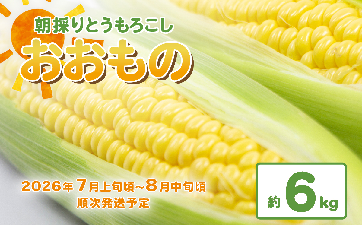 【 先行予約 】 朝採りとうもろこし 約6kg （ おおもの ） 【 2026年7月上旬～8月中旬ころ順次発送予定 】【 とうもろこし トウモロコシ とうきび 甘い スイーツ デザート コーン 人気 野菜 新鮮 おすすめ 】[SZR]