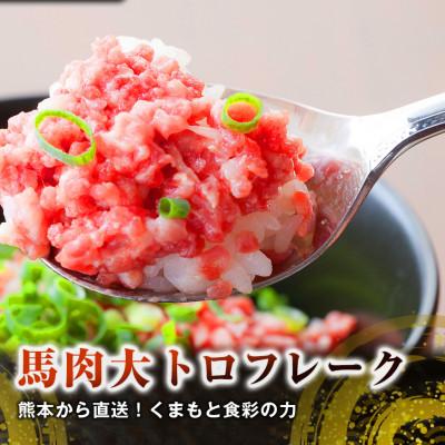 ふるさと納税 高森町 【国産馬刺し】熊本直送　上霜降り(トロ)300g+フレーク200g(高森町) |  | 01