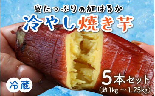 
蜜たっぷりの紅はるかを使った　冷やし焼き芋 5本セット（約1kg～1.25kg） [A-069002]
