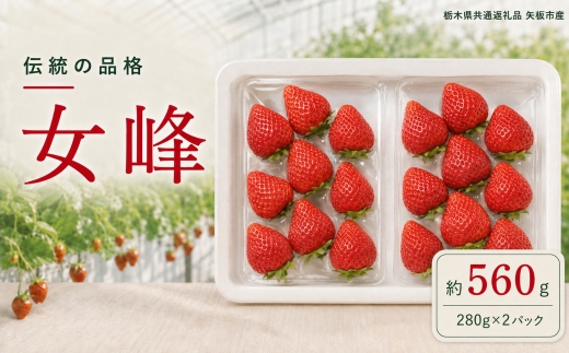 澳原さんの「女峰」 1,120g (280g×4P)| 栃木県共通返礼品 矢板市産 いちご 果物 フルーツ 栃木県下野市