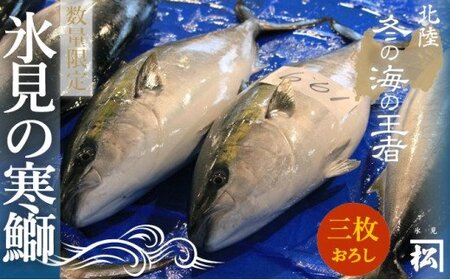 【先行予約】天然寒鰤 『ひみ寒ぶり』一本丸ごと便（三枚おろし処理）※配送エリア限定※　
