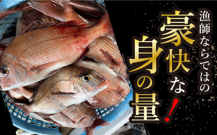 【豪快！美味い！漁師飯！】 天然鯛茶漬け 80g×10食セット 魚介類 鮮魚 【有福水産】 [RBV001]