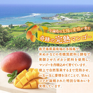 【数量限定】鹿児島 与論島アップルマンゴー特A秀品３個約１kg 化粧箱入り【先行予約】| マンゴー