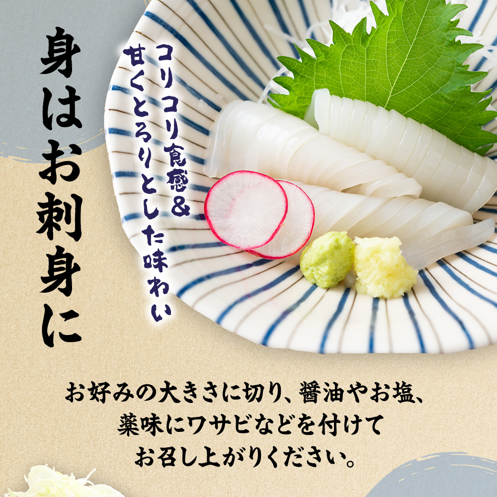 刺身用 新鮮ヤリイカ2杯セット(宗像鐘崎産)【マルケイ水産】_HA0416