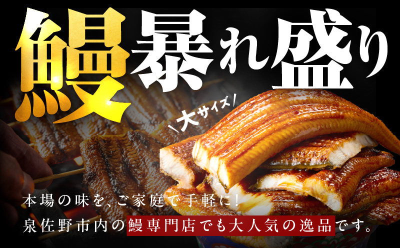 うなぎ 蒲焼き 暴れ盛り 合計 900g【鰻 真空パック 簡単調理 訳あり サイズ不揃い 人気 惣菜 うな重 うな丼 ひつまぶし にも】 020C395