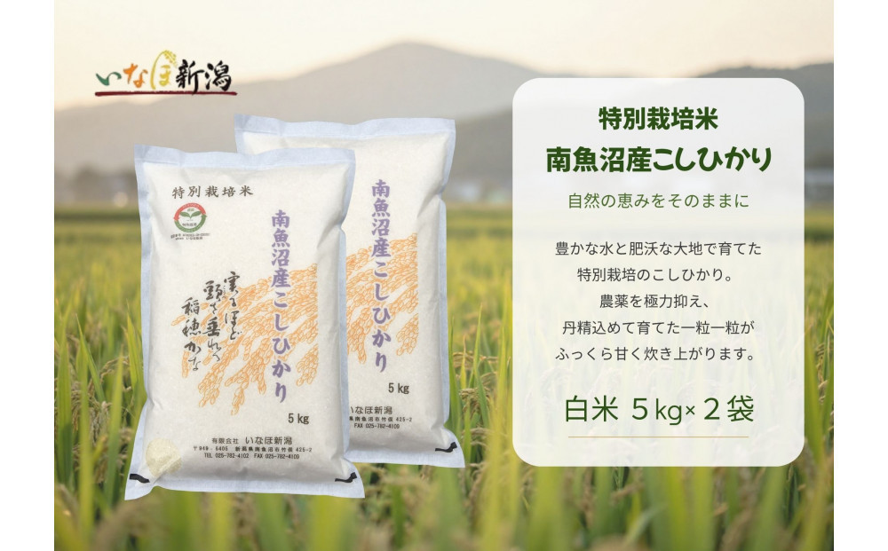 【令和8年産新米予約】 南魚沼産コシヒカリ特別栽培米 白米 10kg(5kg×2)【2026年9月下旬より1ヶ月以内に順次発送予定】