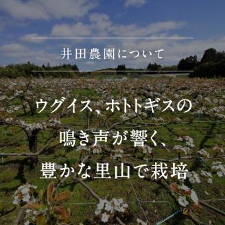 鳥取県南部町産　井田農園の二十世紀梨（3kg箱）　8月下旬～出荷予定