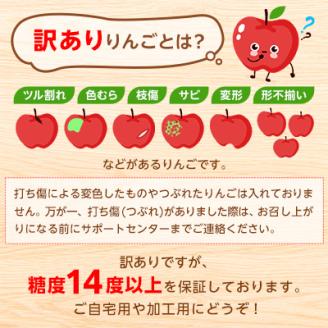 りんご「サンふじ」糖度14度以上保証 約3kg 訳あり 家庭用【配送不可地域：離島】